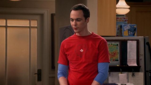 The t-shirt 20 sided dice of Sheldon Cooper in The Big Bang Theory S09E02