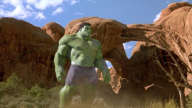The costume of Bruce Banner / the Hulk (Eric Bana) in the Hulk