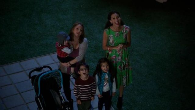 Dolce & Gabbana Forêt Enchantée’ robe. de Fiona (Minnie Driver) au Sujet d'un Garçon (S02E08)