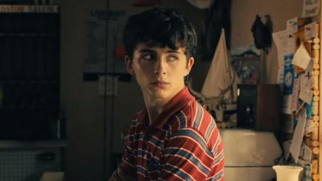 Red Blue and White Striped Polo Shirt worn by Daniel (Timothée Chalamet) in Hot Summer Nights