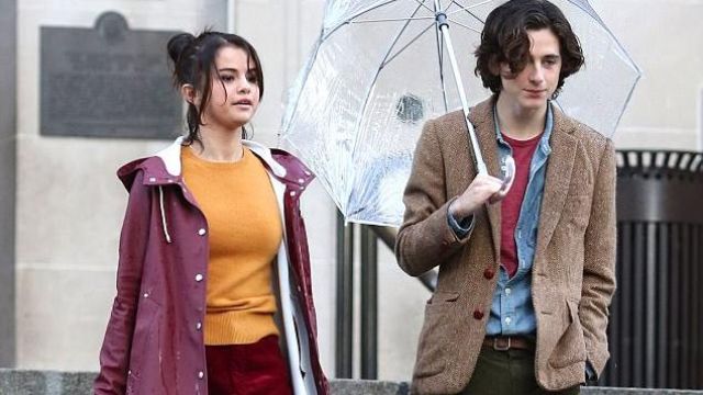 Purple Long Rain Coat Worn By Selena Gomez In A Rainy Day In New