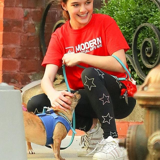 adidas superstar rose clair