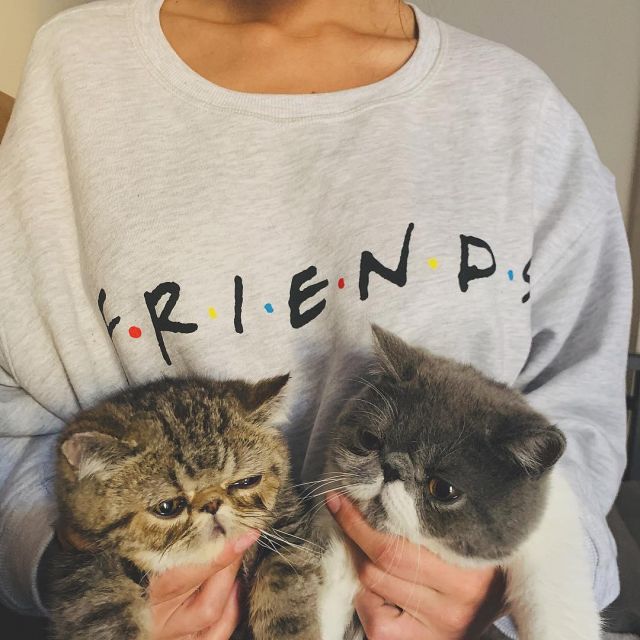 Friends Sweatshirt of María Pedraza on her Instagram account