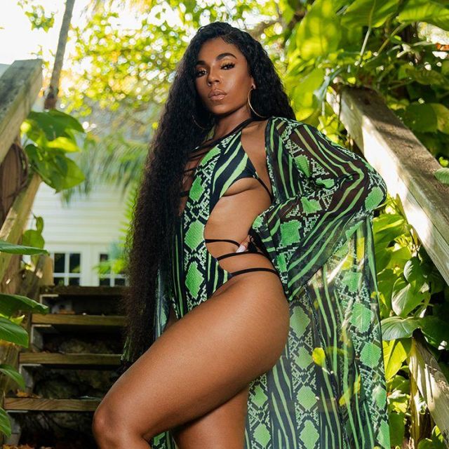 The Kimono, lime green mesh snake print with fringing of Ashanti on the account instagram of @ashanti