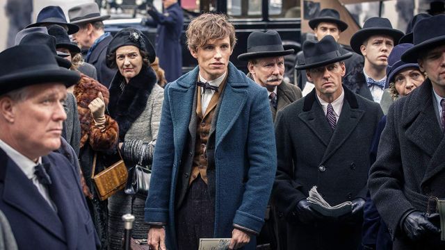 Blue coat of Newt (Eddie Redmayne) in Fantastic Beasts and where to find them