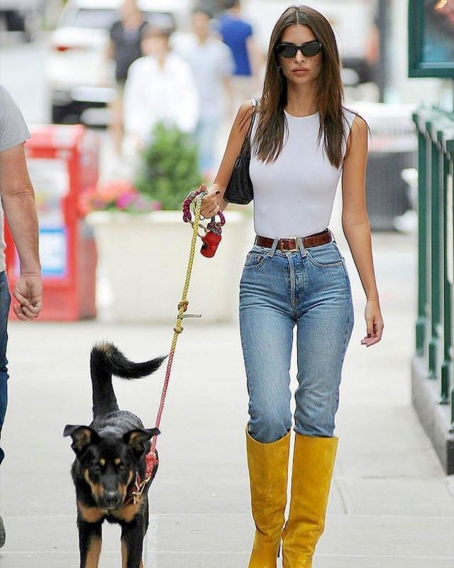 found my animal dog leash