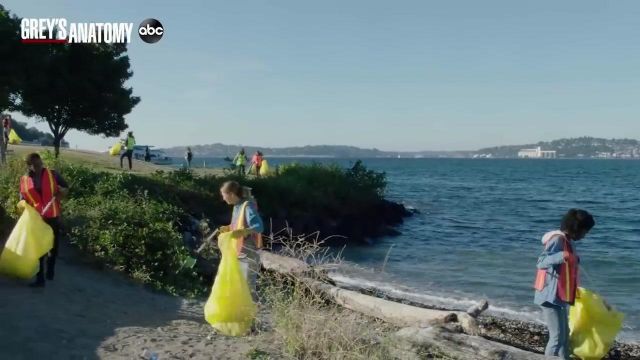 Litter Picker Up used by Dr. Meredith Grey (Ellen Pompeo) in Grey's Anatomy (S16)