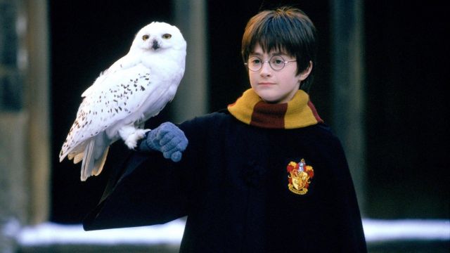 El vestido del mago (House Gryffindor) de Harry Potter (Daniel Radcliffe) en Harry Potter en la Escuela del Hechicero