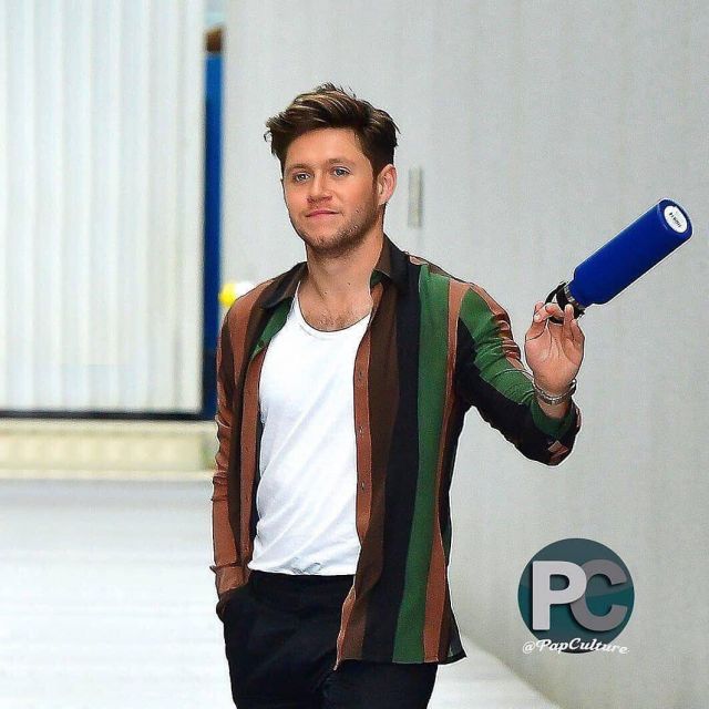 Hydro Flask Standard mouth water bottle worn by Niall Horan New York City October 10, 2019