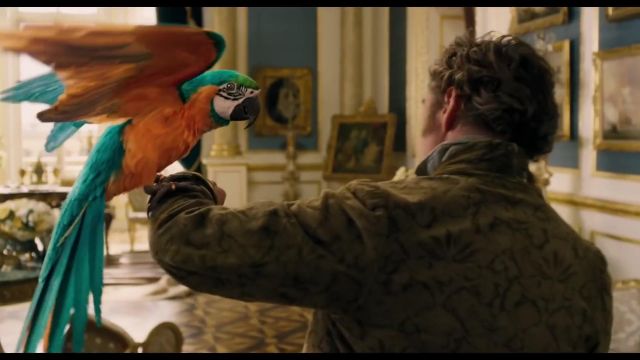Jacket tapestry Robert Downey Jr. in DOLITTLE Trailer (2020) 