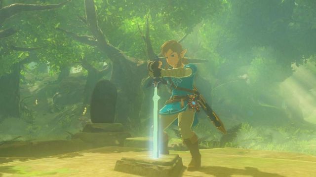 The complete costume of Zelda in the video game Zelda Breath of The Wild