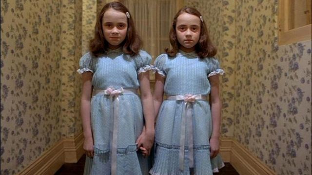 The blue dress worn by the twins in the Shining