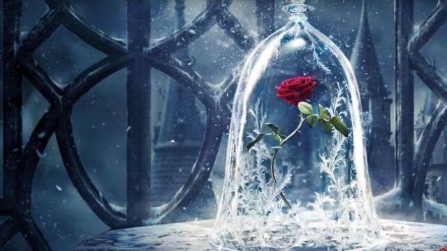 The rose of the Beast (Dan Stevens) in beauty and The Beast