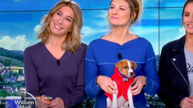 The V neck sweater wool blue, detail of buttons on the sleeves of Caroline Delage in William at noon the 25.10.2019