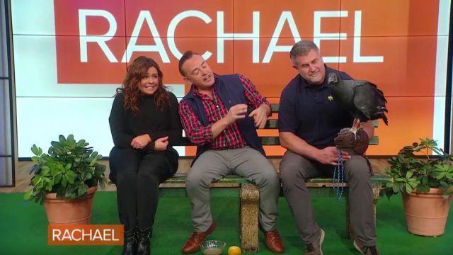 Atm Anthony Thomas Melillo Waf­fle Crew­neck Sweater worn by Rachael Ray on Rachael Ray November 11, 2019