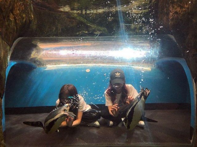 The Adidas cap of Jisoo account on the Instagram of @sooyaaa__
