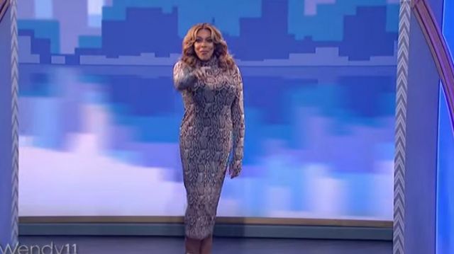Afrm Shai­lene Mesh Dress worn by Wendy Williams on The Wendy Williams Show November 22, 2019