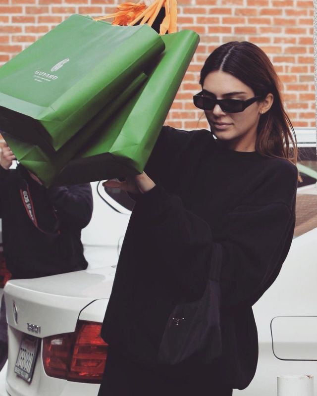 Prada Mini Hobo Bag usado por Kendall Jenner Goyard diciembre 10, 2019