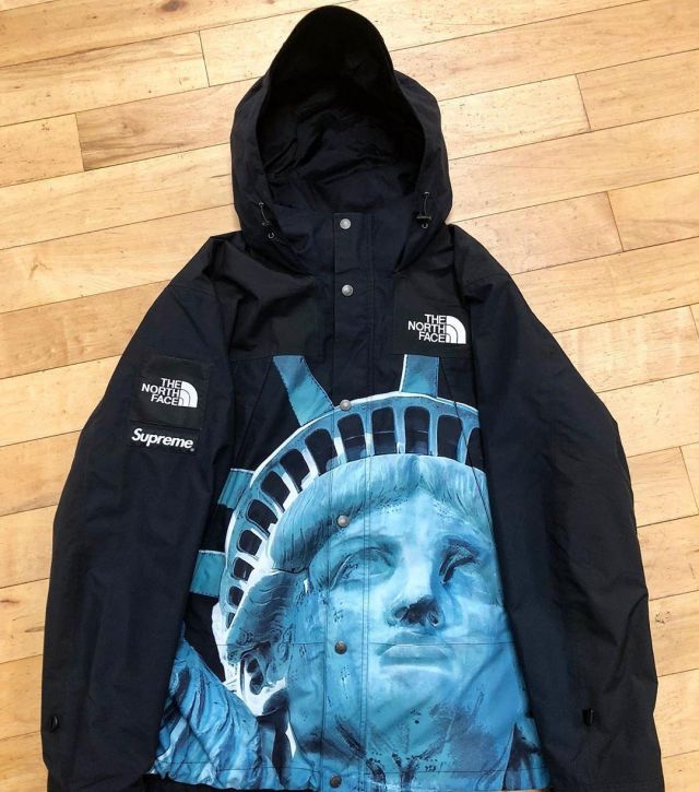 supreme the north face mountain jacket