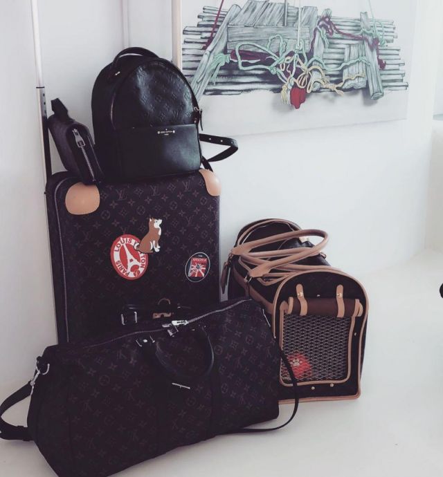 dæk Skaldet Perle Travel bag louis vuitton on the account Instagram of @marwa_loud | Spotern