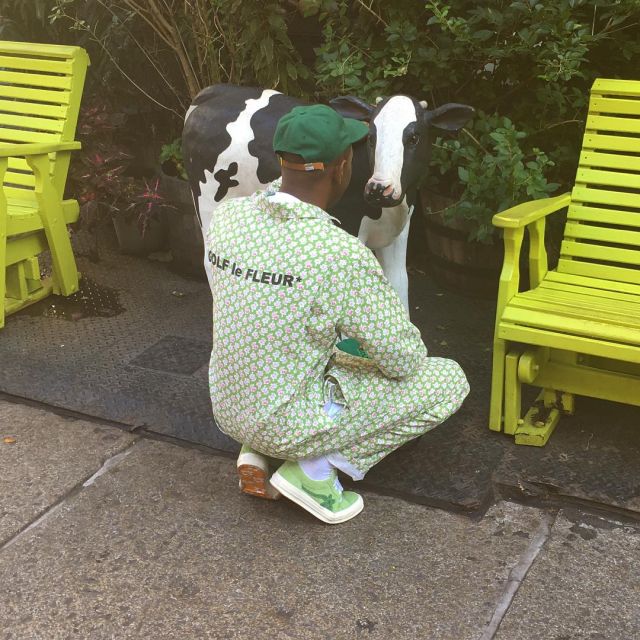 Sneakers low green and white with flower worn by Tyler, The Creator on the account Instagram of @feliciathegoat