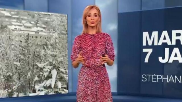 The printed dress of Stéphanie Duval in Weather of M6 of 07/01/2020
