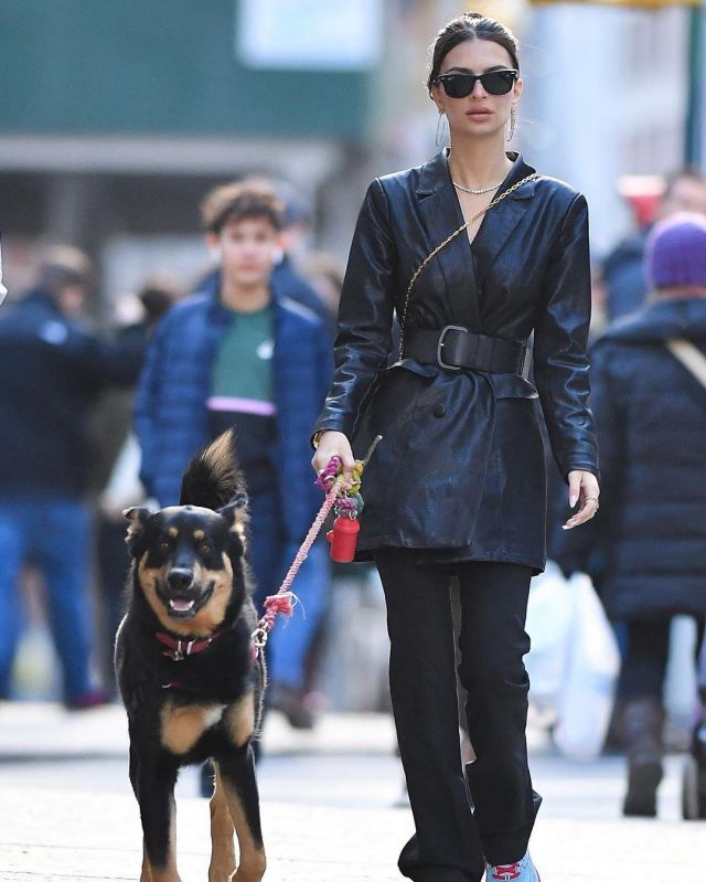 Nasty Gal Bar Busi­ness Blaz­er Dress worn by Emily Ratajkowski With Her Dog January 19, 2020