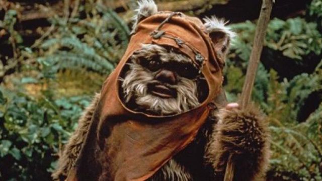 El disfraz de Ewok de perro) Star VI: of the Jedi | Spotern
