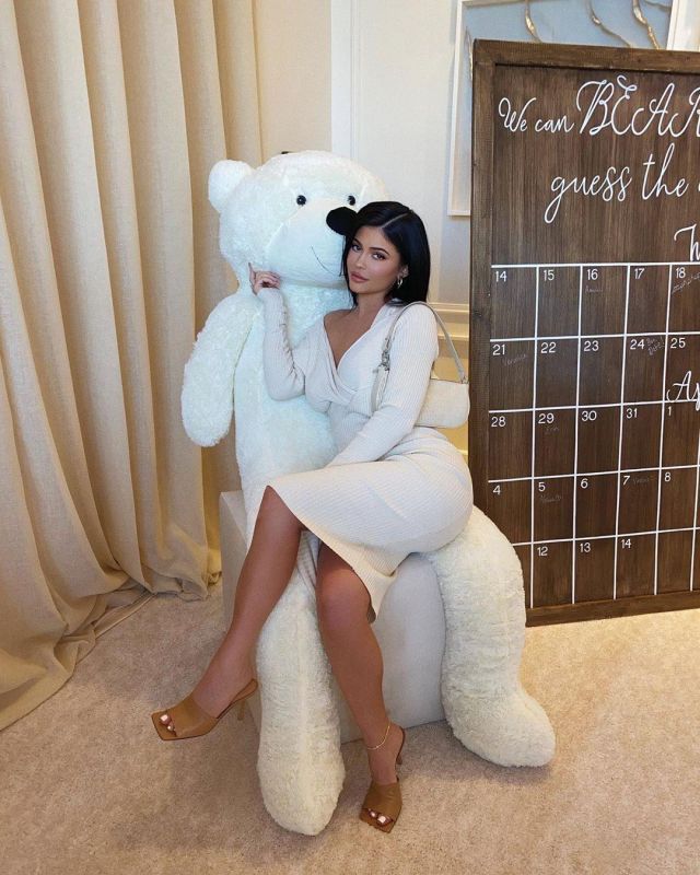 The Dress midi silk and wool mixed Kylie Jenner on the account Instagram of @kyliejenner