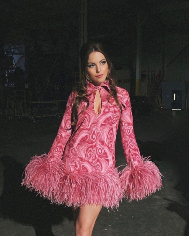 Plumes rose Robe de Garniture de Elizabeth Gillies sur l'Instagram account @lizgillz