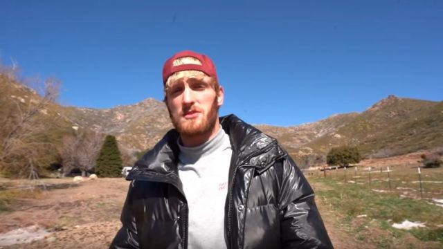 Black Puffer Jacket used by Logan Paul in the YouTube video Harvesting Honey from a MASSIVE Beehive (Extremely Satisfying)