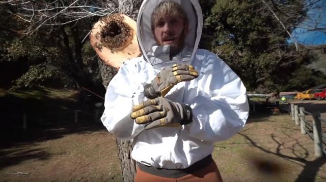 Stein Gardening Gloves worn by Logan Paul in the YouTube video Harvesting Honey from a MASSIVE Beehive (Extremely Satisfying)