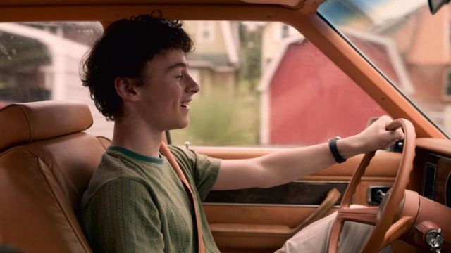 The green t-shirt of Stanley Barber (Wyatt Oleff) in I Am Not Okay with This (S01E02)