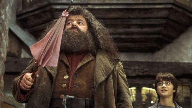 The umbrella's magic Hagrid (Robbie Coltrane) in Harry Potter and the sorcerer's stone