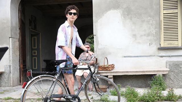 Printed shorts worn by Elio Perlman (Timothée Chalamet) in Call Me by Your Name