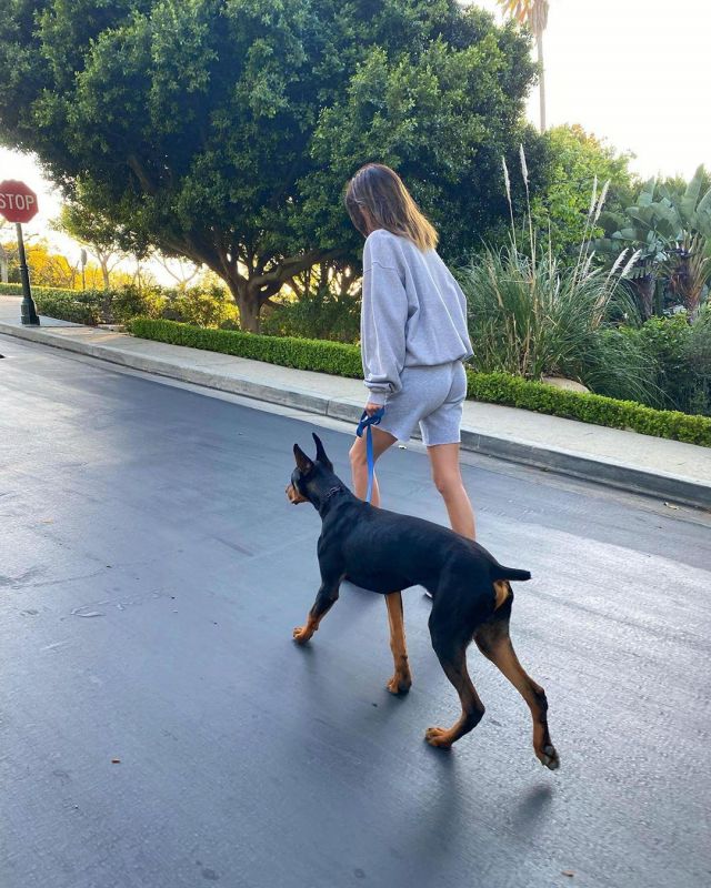 Brandy Melville Rosa Sweatshorts porté par Kendall Jenner Instagram 16 avril 2020