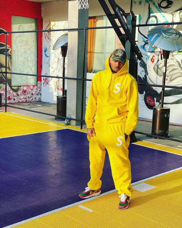 The pair of Nike LD Waffle cardigan Pine Green worn by Chris Brown on his account Instagram @chrisbrownofficial
