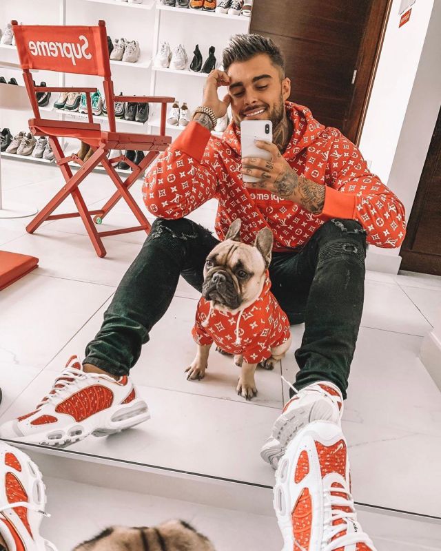 supreme x louis vuitton dog hoodie