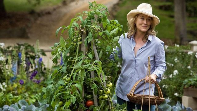 Chapeau de paille porté par Jane Adler (Meryl Streep) dans C'est Compliqué