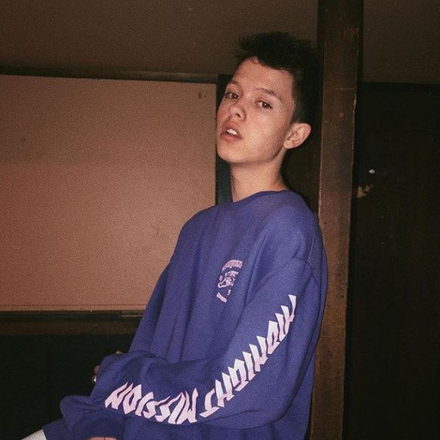 Sweatshirt H&M purple worn by Jacob Sartorius on the account Instagram @jacobsmaybe 