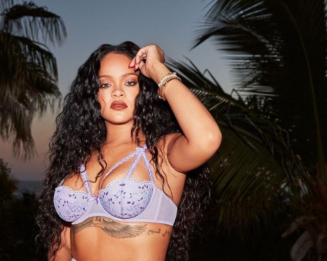 Savage x Fenty Iri­des­cent Lace Ca­ged Bra worn by Rihanna on her Instagram account