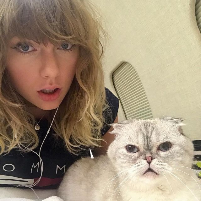Camiseta de Tommy Hilfiger usada por Taylor Swift en su cuenta de Instagram @taylorswift