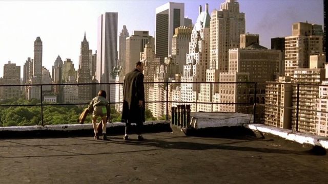 Le rooftop d'un immeuble de Central Park à New York où Léon (Jean Reno) initie Mathilda (natalie Portman) au tir dans Léon