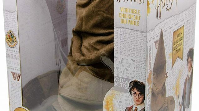 The replica of the Choipeaux worn by Harry Potter (Daniel Radcliffe) in the film Harry Potter and the Sorcerer's Stone