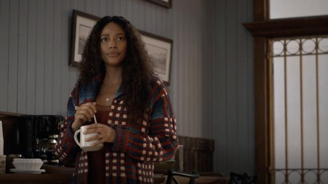 Ralph Lauren RRL checked shawl collar jumper worn by Cassie Dewell (Kylie  Bunbury) as seen in Big Sky Tv series wardrobe (S02E01) | Spotern