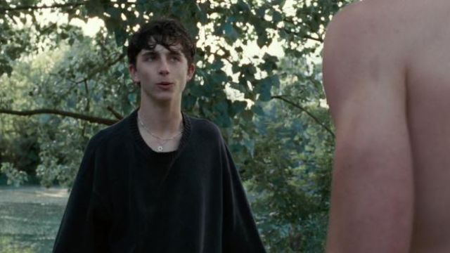 Black Jumper worn by Elio Perlman (Timothée Chalamet) as seen in Call Me By Your Name movie outfits