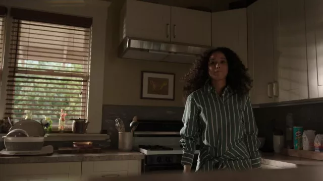 Derek Lam 10 Crosby Charlotte Striped Green Dress worn by Nicole Warren (Alisha Wainwright) as seen in Raising Dion (S02E07)