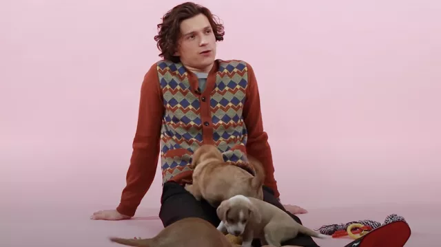 Todd Snyder patterned cardigan in rust worn by Tom Holland in Tom Holland: The Puppy Interview (Part Two) YouTube video