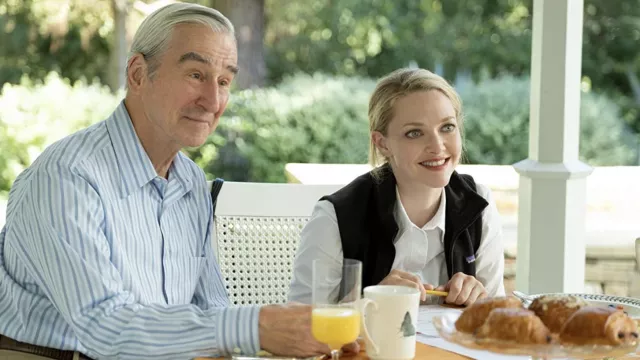 Gilet pull en polyester recyclé Patagonia Better Sweater porté par Elizabeth Holmes (Amanda Seyfried) comme on le voit dans The Dropout Wardrobe (saison 1 épisode 6)