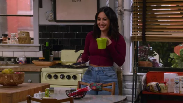 Lulus Purple Long Sleeve Button-Front Ribbed Knit Top worn by Valentina (Francia Raisa) as seen in How I Met Your Father (S01E09)